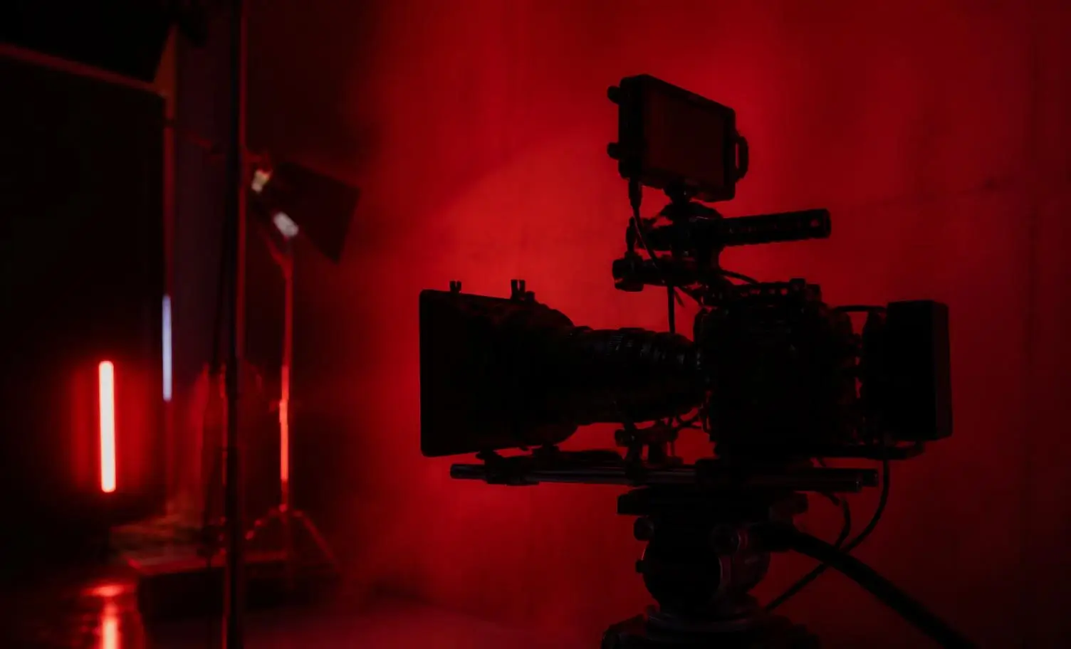 Signal Films — Entertainment project